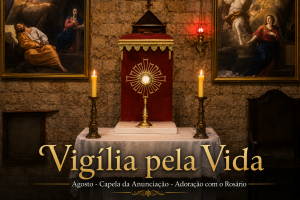 vigiliapelavida