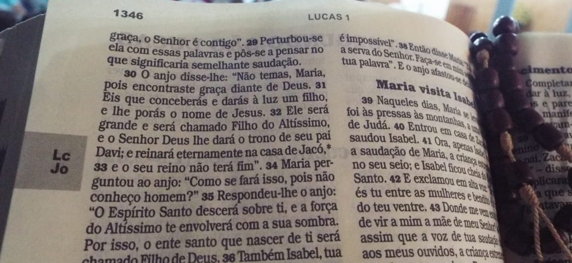 palavradecadadia